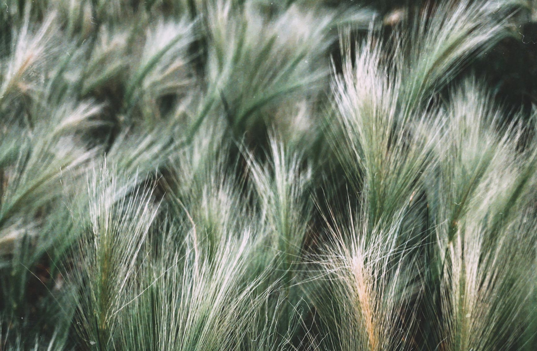 Can Allergies Cause a Fever? Here’s What You Should Know Blog Getlabs